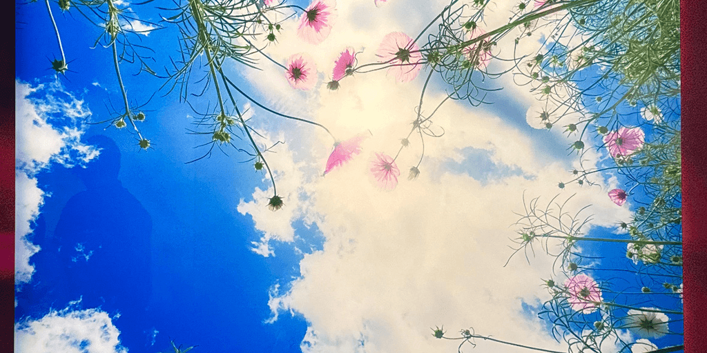 user banner