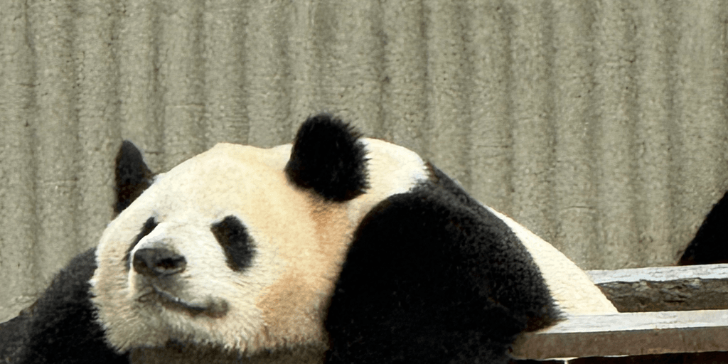 user banner