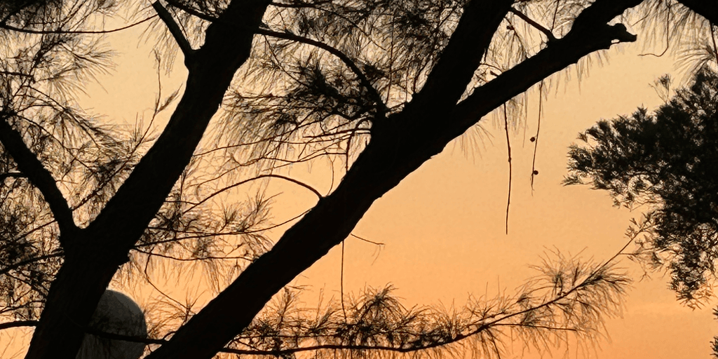 user banner