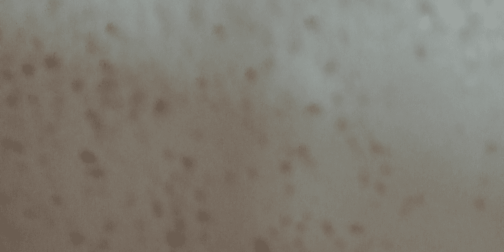 user banner