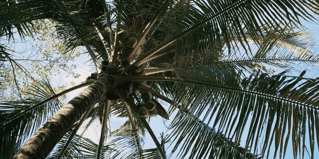 user banner