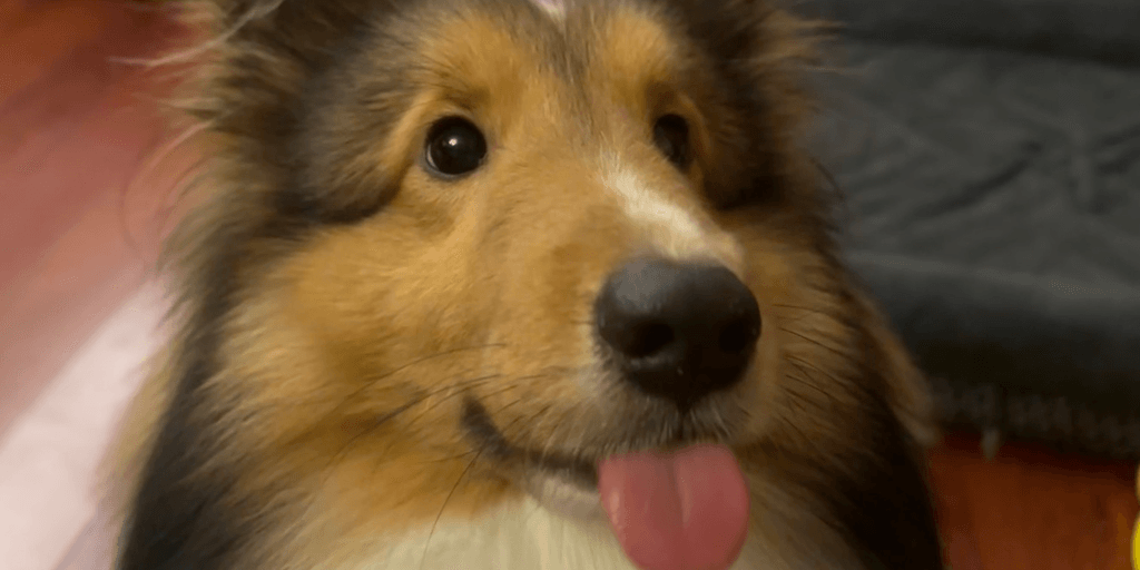 user banner