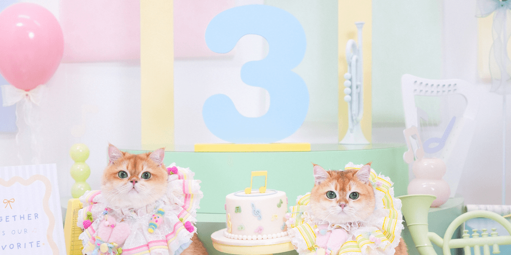 user banner