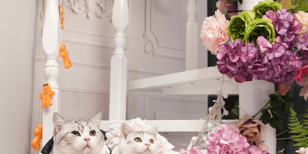 user banner