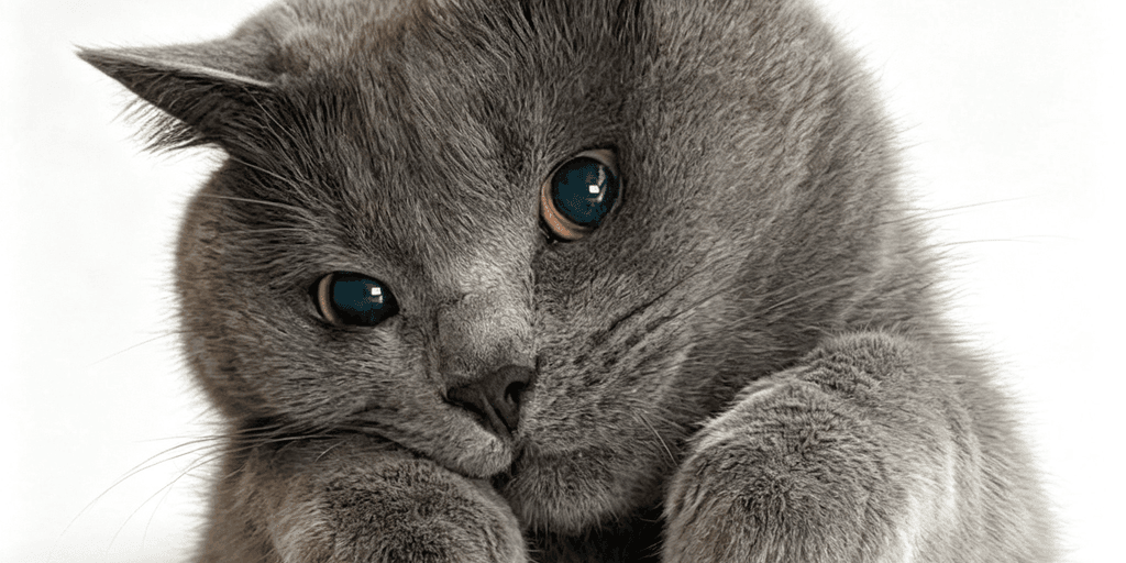 user banner