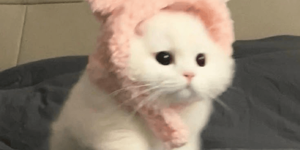 user banner