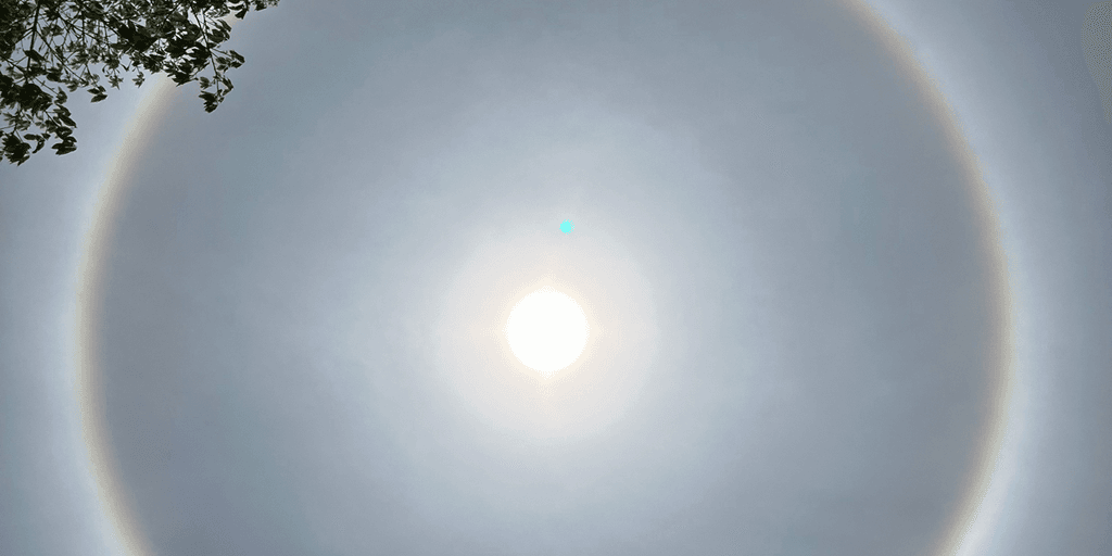 user banner