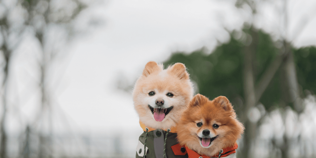 user banner