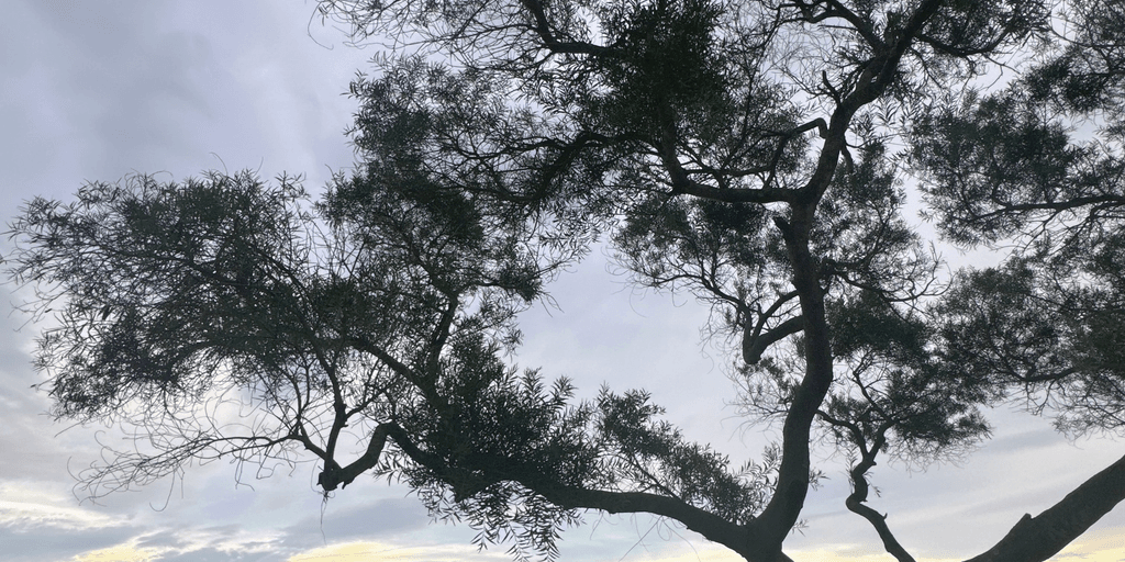 user banner