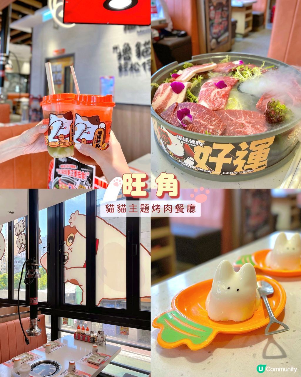 旺角😽最可愛的烤肉餐廳| U Community 社群平台