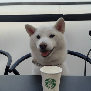 Puppuccino☕ 正呀！！
#毛孩歎Tea