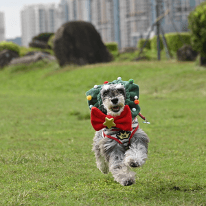 聖誕版跑日馬
蒸糕bell 蒸糕bell
你地今...