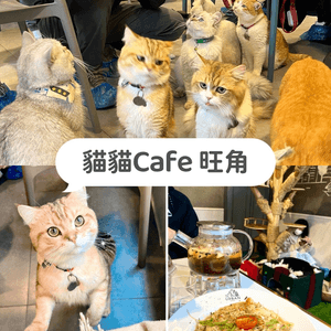 URBAN Cafe ｜旺角
全港最平...