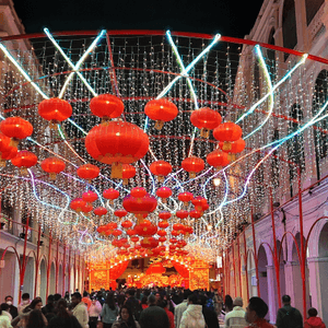 最難忘嘅新年 就係今年 成功擊退煩膠親戚