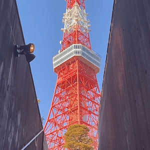 東京鐵塔都係呢一個位影最有型...