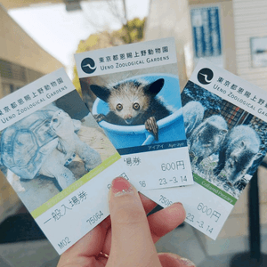 去上野動物園有什麼要注意？