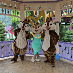 🥳🎂Chip and Dale 生日快樂🎂🥳