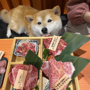 高質日本燒肉