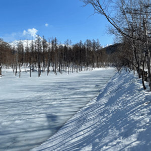 美瑛町天鏡青池雪景