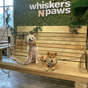 Whiskers N Paws Cafe @w...
