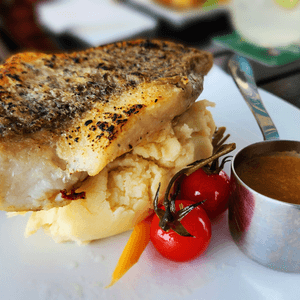 Barramundi