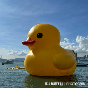 遊香港．孤單的黃色巨鴨