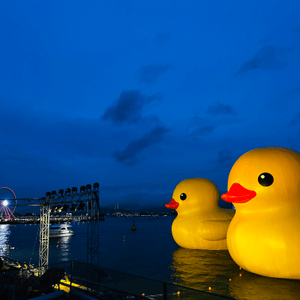 Duck Duck 打卡(日與夜)