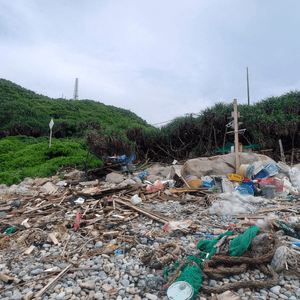 係垃圾灣執垃圾（海岸清潔）