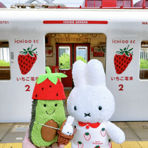 和歌山貴志川線之草莓電車🍓
