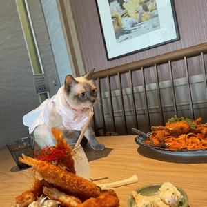 日式寵物友善餐廳