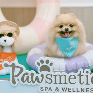 Pawsmetic Spa & Wellness新店開幕🎊