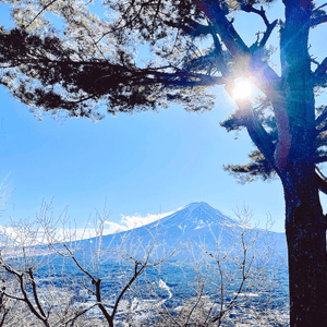 富士山一天遊😛