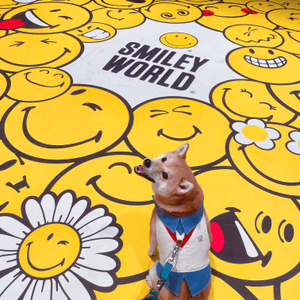SmileyWorld at TheMilles💛🌼☺️