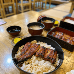 鰻魚天花板