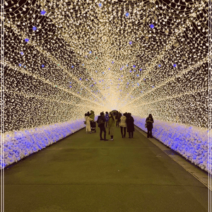 名古屋近郊晚上好去處