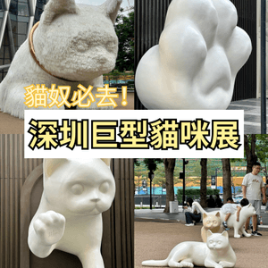 避雷！貓奴必去？免費巨型貓咪展🐱