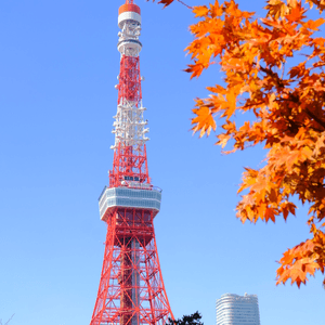 東京必去紅葉景點推介1️⃣