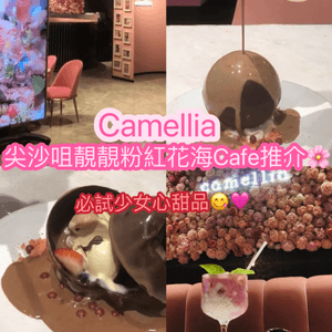 尖沙咀靚靚粉紅花海Cafe推介🌸-Camellia