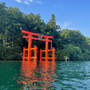 箱根，比價勝高的溫泉♨️旅館