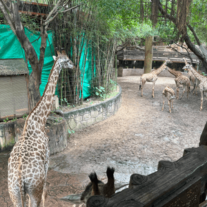 長鹿農莊旅行團