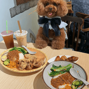 [寵物友善]觀塘正宗台灣餐廳🍛