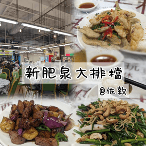 「新肥泉大排檔：超值美食🍽️地點方便❤️‍🔥」