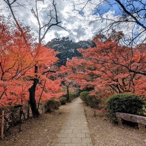 好美的御船山樂園