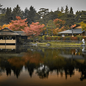 秋天公園内的日本花園