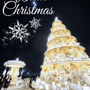 Dior 15米巨型聖誕樹🤍✨仲有旋轉木馬🎠一定要打卡！