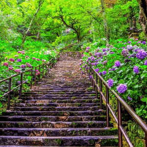 奈良的長谷寺