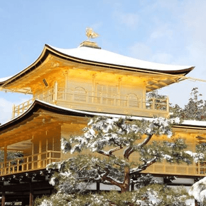 冬天的金閣寺。