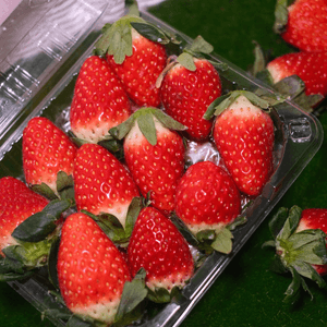 草莓當造季節🍓又嚟喇🥰 
