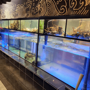銅鑼灣 ︳新鮮的一人海鮮蒸鍋
