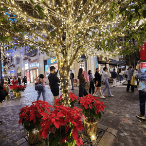 美美的聖誕燈飾🎄照亮了整條街道💖也照亮了人心